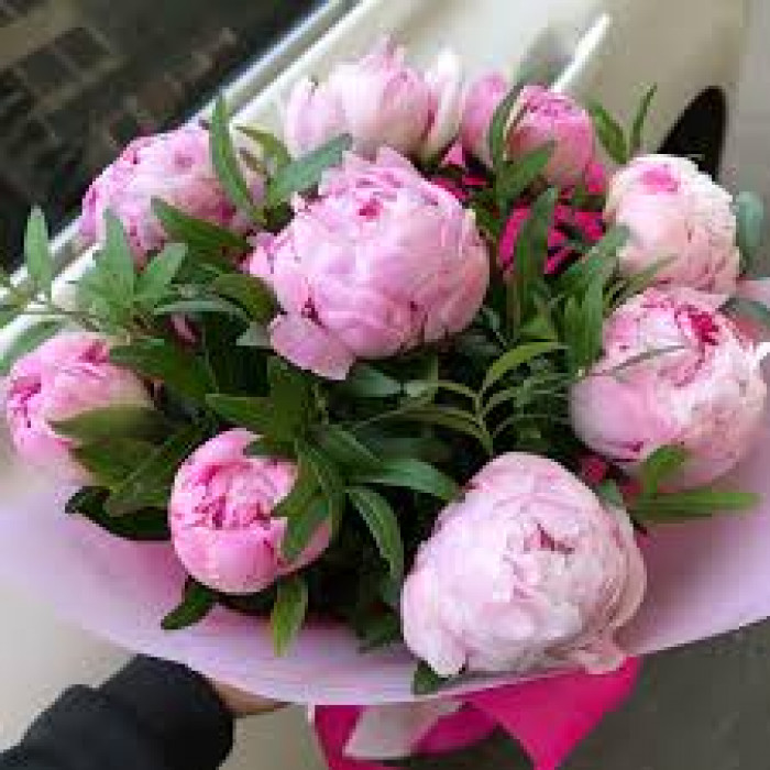 Пион древовидный в Ерейментау