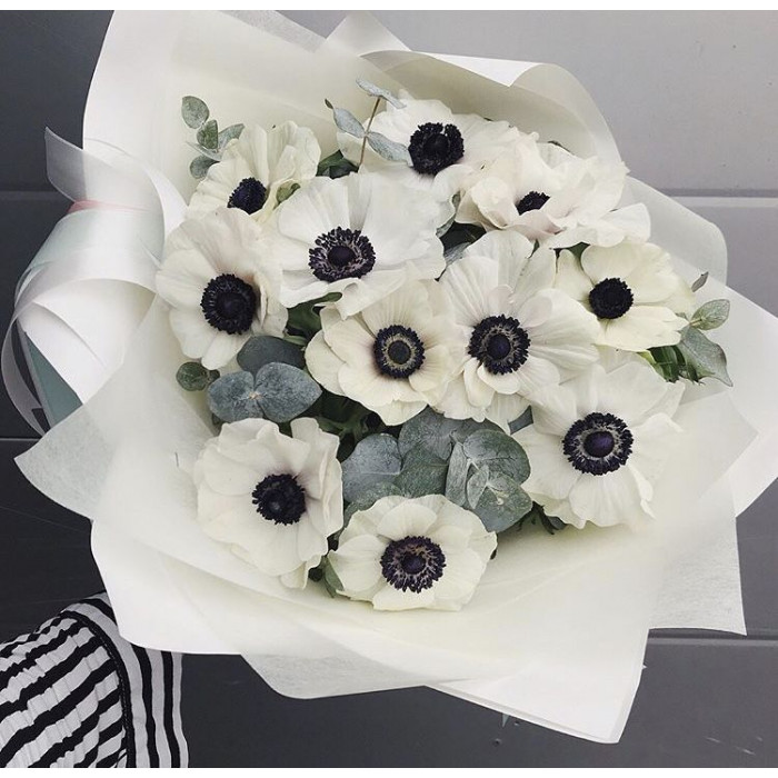 Анемоны в Ерейментау