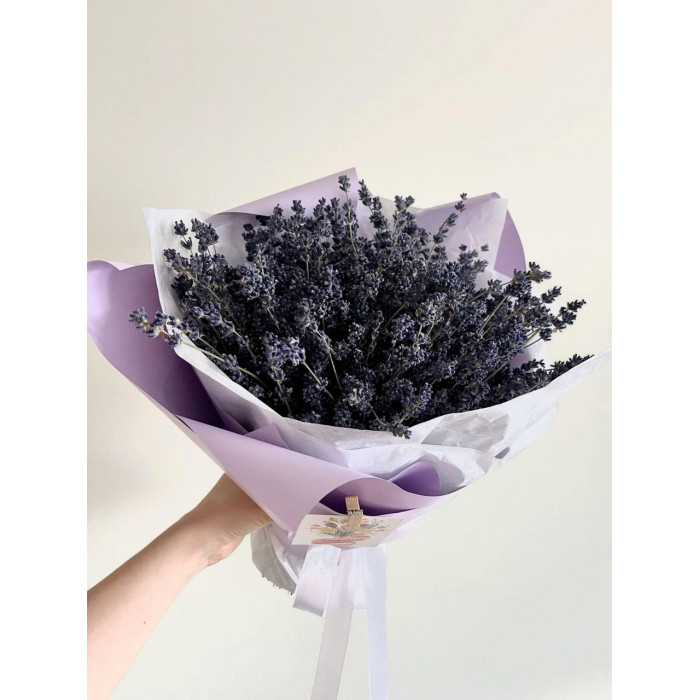 Лаванда в Ерейментау