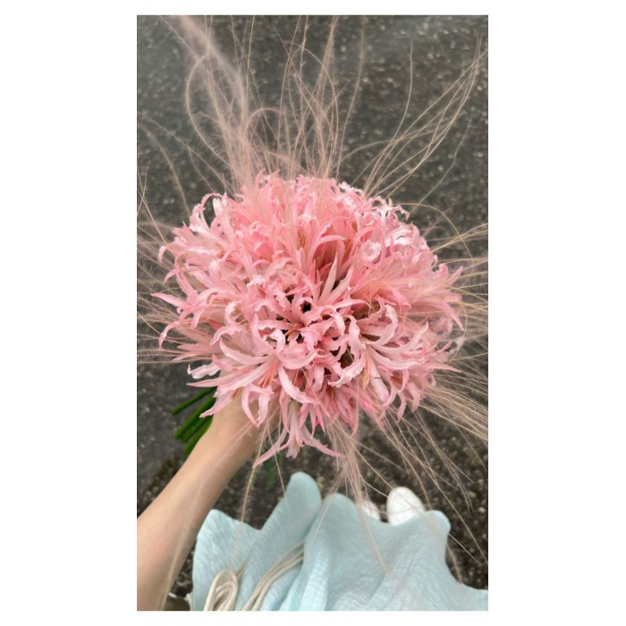 Нерине в Ерейментау