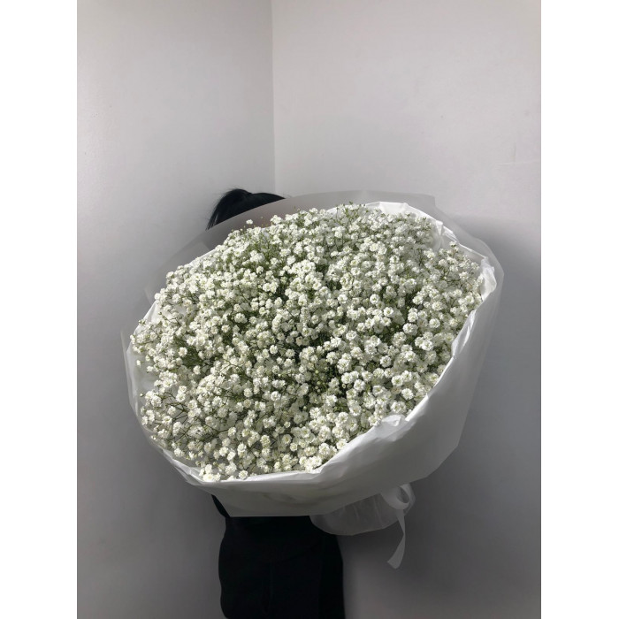 Гипсофила классическая в Ерейментау