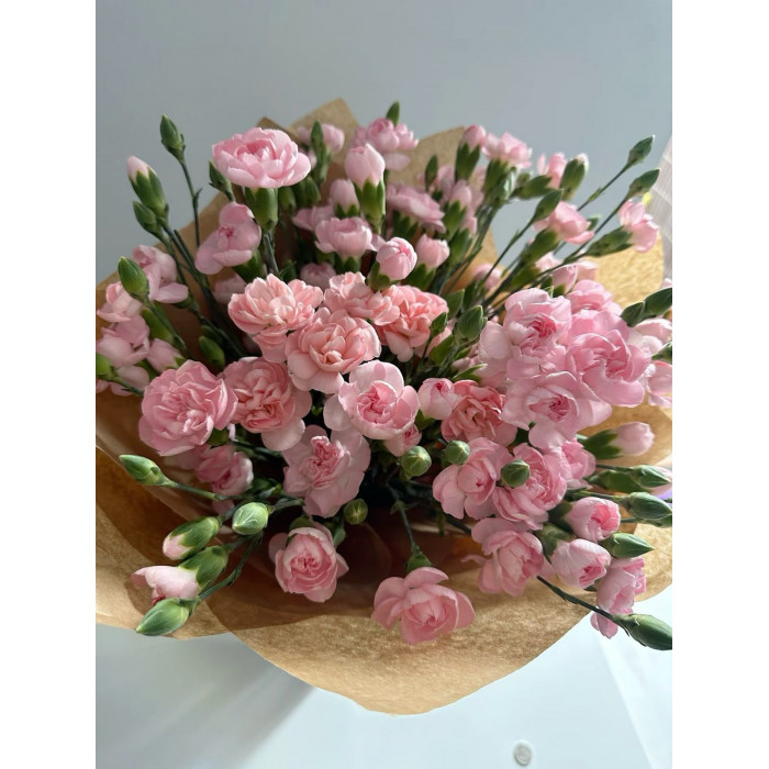 Кустовые гвоздики в Ерейментау