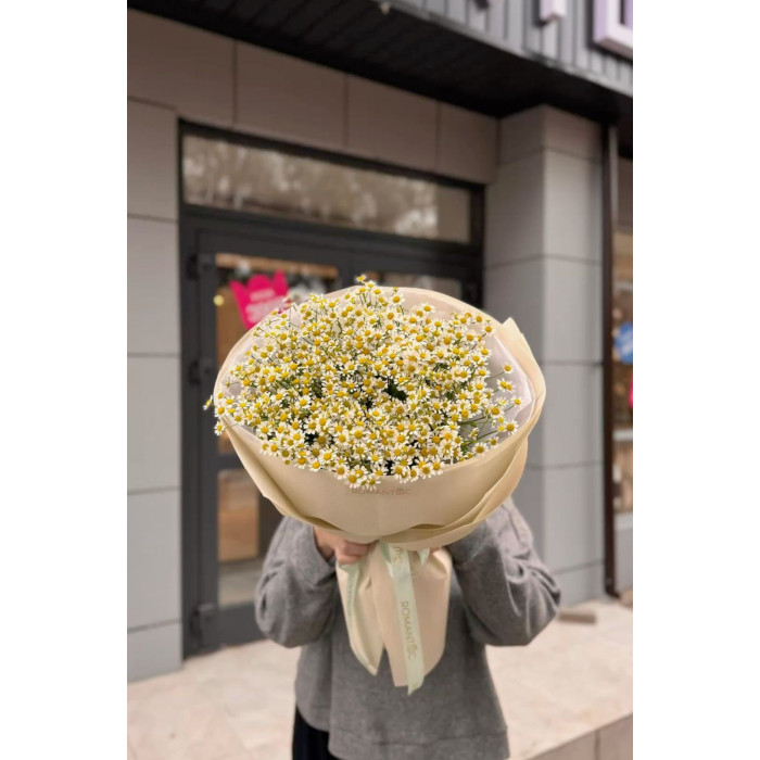 Танацетум в Ерейментау