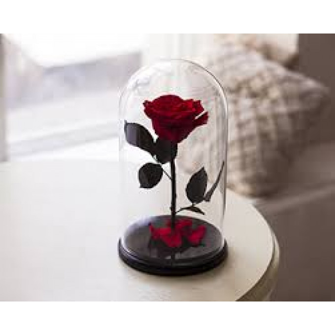 Роза в колбе Красная Роза в колбе Красная