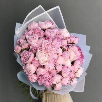 51 пион 51 пион