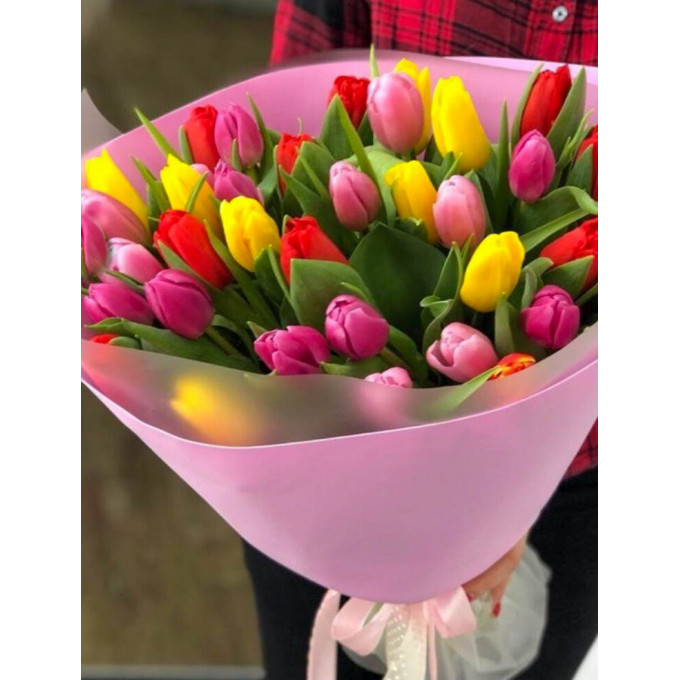 31 тюльпан 31 тюльпан