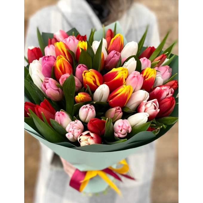 51 тюльпан 51 тюльпан