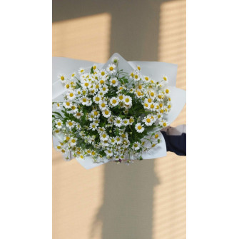 Воздушный букет из полевых ромашек